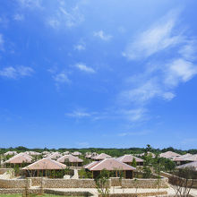 写真：オーナー