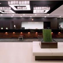 写真：オーナー