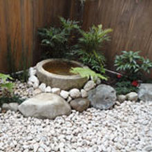 写真：オーナー