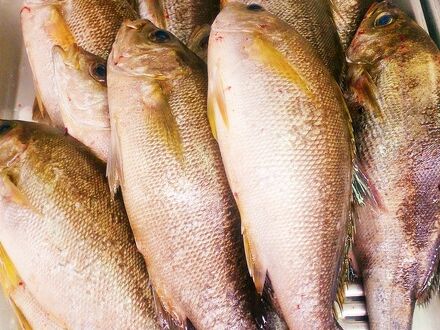 旅館　花月 写真