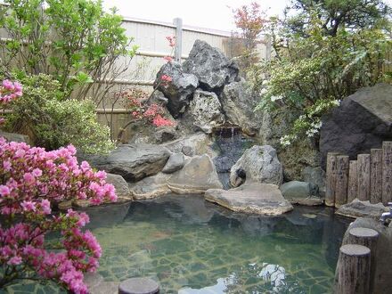 温泉旅館　鹿の湯 写真