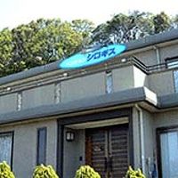 ペンションシロギス 写真