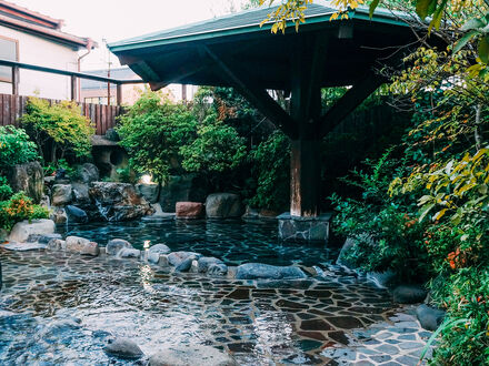 菊池温泉 望月旅館 写真