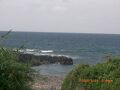 屋久島　民宿　野の花　＜屋久島＞ 写真