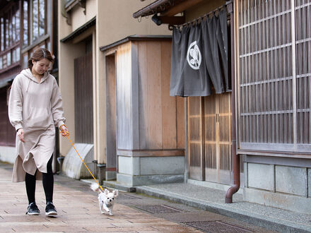 ペットと泊れる宿 ひがし茶屋街 夢見草 写真