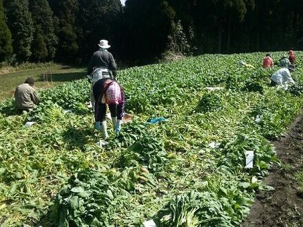 やすらぎの宿　宿房　あそ 写真
