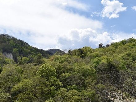 復興御宿 富双江葉大馬 川俣秘極の湯 隠 写真