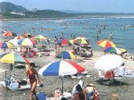 岬ペンション ガジュマル 写真