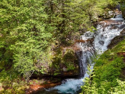 山の宿 明治温泉 写真