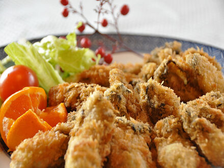 海辺の宿　えくぼ 写真