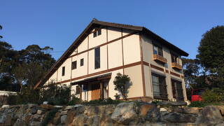 ゆづり葉＜対馬＞