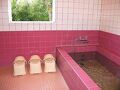 ペンション　グリーンディッシュ 写真