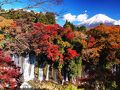 箱根ゲストハウス toi 写真
