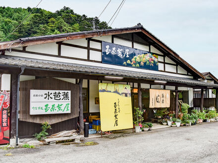 高原の宿　水芭蕉 写真