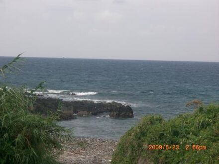 屋久島　民宿　野の花　＜屋久島＞ 写真