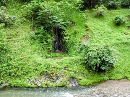 ホテルのせ川 写真