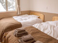 MUSH ROOMS 写真