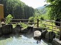道志川温泉　紅椿の湯 写真