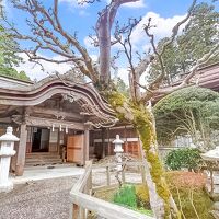 宿坊 大明王院 写真