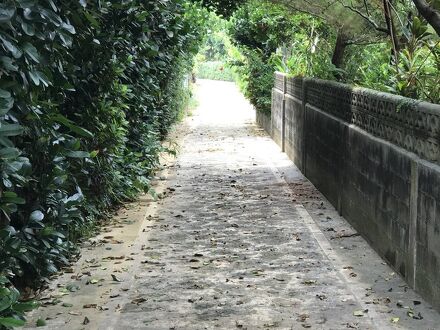 沖縄古民家宿屋 銀まる 写真
