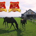 ホースヴィレッジペンション馬の宿 写真