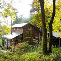 ｃｏｔｔａｇｅ　樹樹 写真