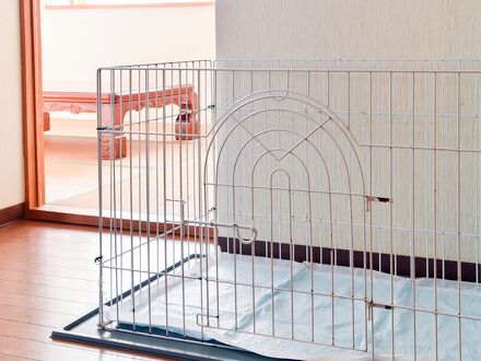 グリシーヌ熱海　ペット館 写真