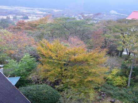 仙石原温泉　伊藤山荘 写真