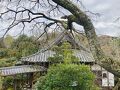 竹林院群芳園 写真