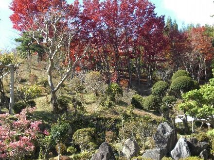 入の元湯 神泉亭 写真