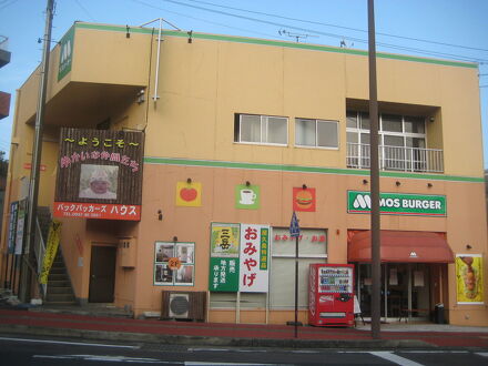 素泊まり ゆかいな仲間たち ＜屋久島＞ 写真