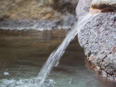 湯布院温泉 ひすいの宿 黎明 写真