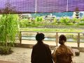 丸 和泉屋町 写真