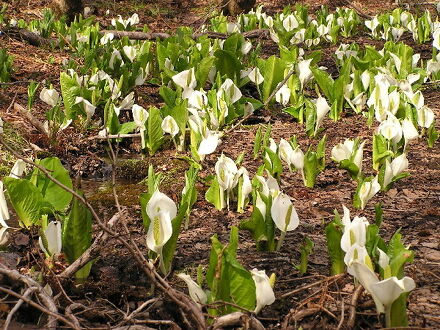ペンション　サントノーレ 写真