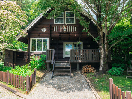 BAUM COLLECTION 写真