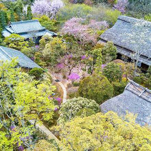 写真：楽天トラベル