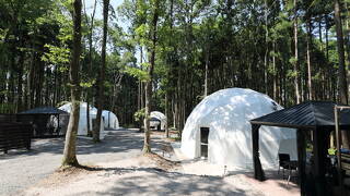 Y-CAMP