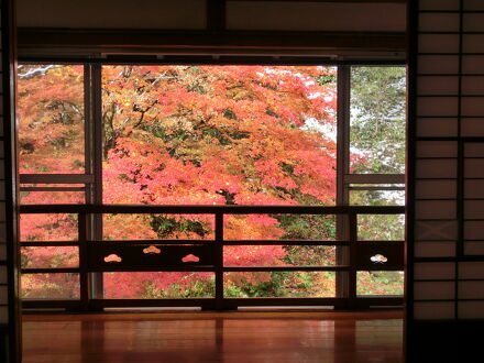 大新館 写真