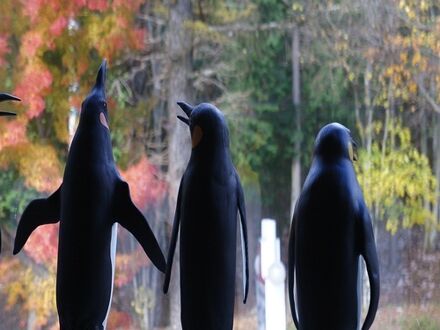 オーベルジュ・セゾンドはるな 写真