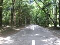 軽井沢ペンションる～らん 写真