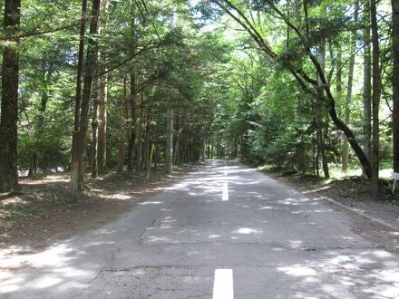 軽井沢ペンションる～らん 写真