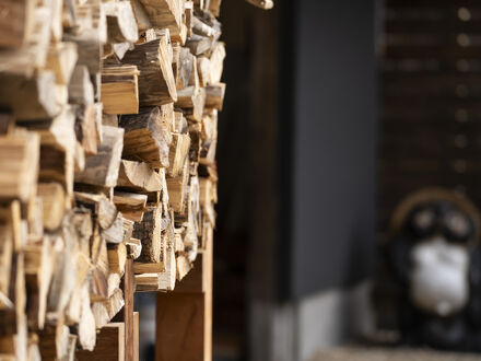 信楽サウナ SHIGARAKI SAUNA 写真