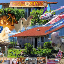 写真：楽天トラベル