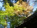 旅のあしあと 写真