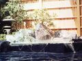 民宿大坂屋 写真