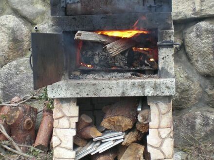 ビーチコンバー 写真