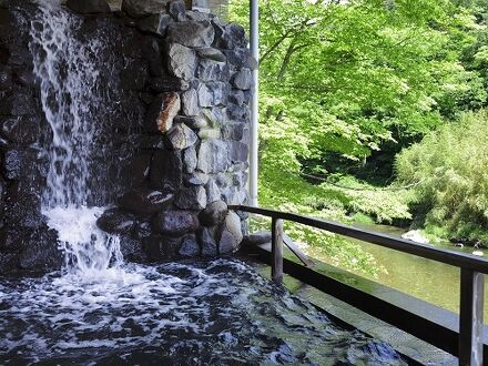 仙台 秋保温泉 ホテル華乃湯 別館 簾 写真