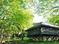 芦ノ湖キャンプ村 写真