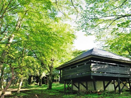 芦ノ湖キャンプ村 写真