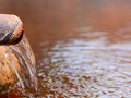塩原温泉　やまなみ荘 写真